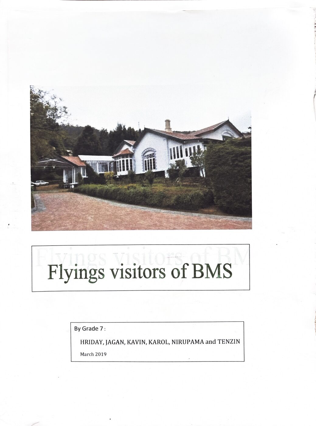 Cover of Flying Visitors of BMS